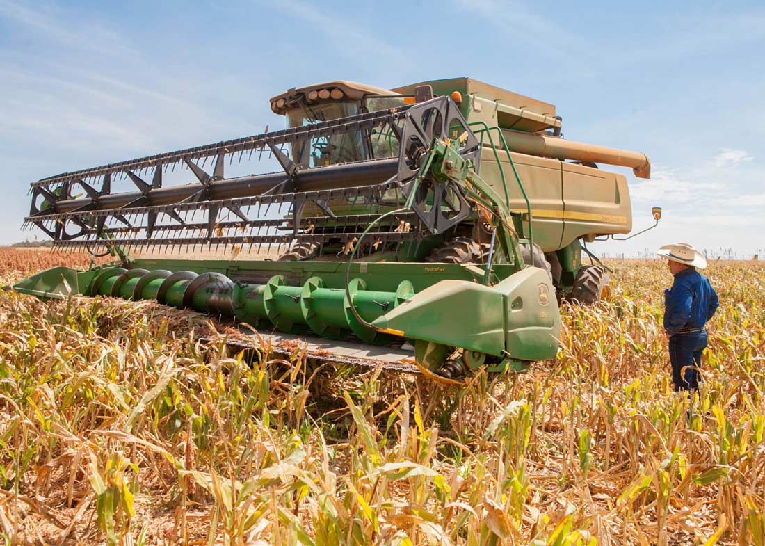 Operação agrícola no campo